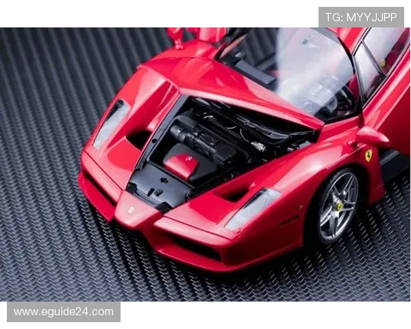 恩佐·费尔南德斯训练完顺手给老婆转了辆法拉利